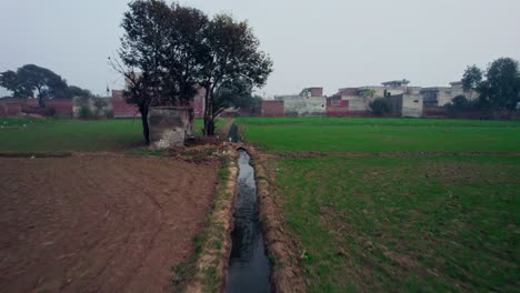 Canal-De-Riego-Que-Fluye-A-Través-De-Un-Campo-Cultivado-En-Alipur,-Pakistán,-Con-Un-Contexto-Rural