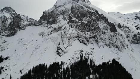 Fronalpstock-Suiza-Glaris-Alpes-Suizos-Vista-Media-Montaña-Sobre-El-Bosque