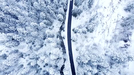 Vista-Aérea-De-Arriba-Hacia-Abajo-De-Un-Camino-Rural-En-Invierno-Con-Coches-Pasando-Entre-árboles-Perennes-Cubiertos-De-Nieve