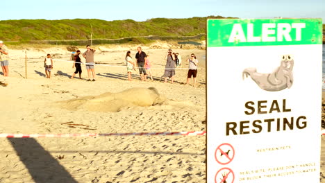 Schild-Am-Strand-Warnt-Besucher-Des-Onrus-Beach-Davor,-Robben-Bei-Der-Mauser-Zu-Stören