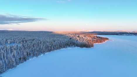 Snowy-Pine-Forest-And-Frozen-Lake-During-Winter-In-Pyha,-Finland---Aerial-Drone-Shot