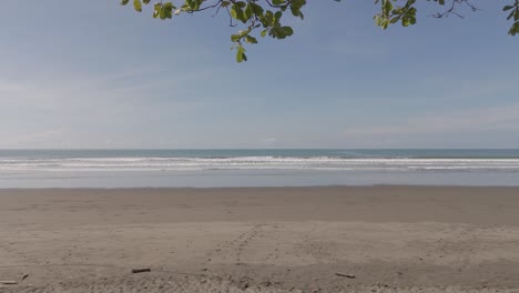 Drone-path-from-under-the-canopy-of-palm-trees-out-to-the-ocean-over-the-waves