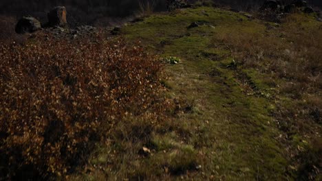 drone-flies-forwards-and-looks-down-on-the-winter-woods-of-Pilis,-Hungary