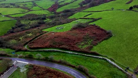 Establecimiento-De-Una-Toma-Aérea-De-Un-Dron-Que-Se-Eleva-Sobre-El-Exuberante-Paisaje-Para-Revelar-El-Círculo-De-Piedra-De-Drombeg-En-Un-Día-Lluvioso-Y-Húmedo-En-Cork,-Irlanda