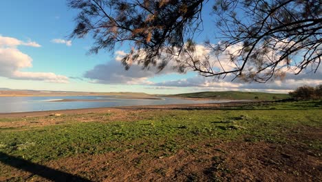 Unter-Dem-Baum-Entfaltet-Sich-Die-Natürliche-Landschaft-Mit-Entferntem-Wasser,-Das-An-Einem-Schönen-Und-Sonnigen-Tag-Am-Horizont-Schimmert-Und-Das-Konzept-Der-Unberührten-Natur-Verkörpert