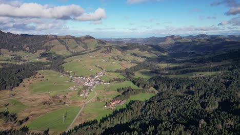 Isolated-village-surrounded-by-spruce-forest-green-nature-landscape-aerial