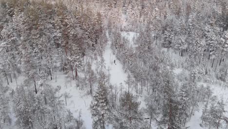 Person-Beim-Langlaufen-Mit-Hund-Mitten-Im-Winterwald