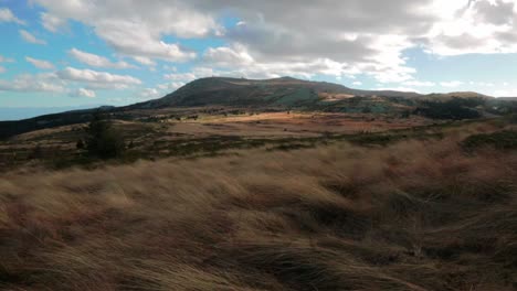 Montaña-Vitosha-Con-Hierba-Dorada-En-Un-Día-Nublado