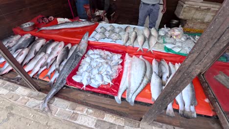 Fish-cutters-cutting-up-fish-in-Sikanderpur-wholesale-Fish-Market-in-Gurgaon,-Gurugram,-India