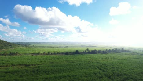 Paisaje-Verde-De-Guadalupe.-Vista-Panorámica-Aérea-De-Drones