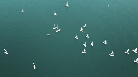 Sailboats-dot-the-surface-of-Lake-Constance