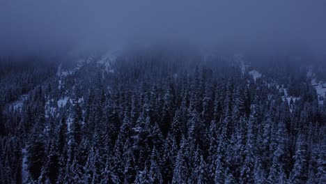 Diese-Sammlung-Atemberaubender-Videoclips-Fängt-Die-Heitere-Schönheit-Und-Stille-Eines-Waldes-Ein,-Der-Mit-Schnee-Bedeckt-Und-Von-Frost-Umhüllt-Ist