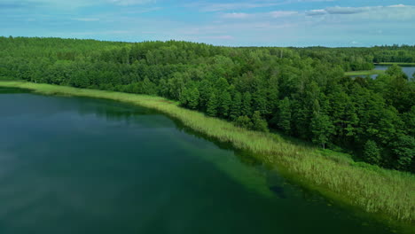 Vista-Aérea-De-Exuberantes-árboles-Verdes-Que-Adornan-Las-Frescas-Aguas-Del-Lago