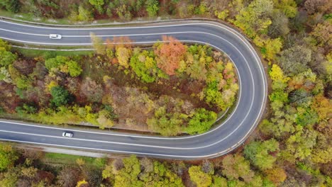 Cars-drive-sharp-turn-on-transit-road,-thoroughfare-in-autumn-forest,-aerial-view