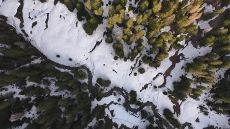 Ruhige,-Schneebedeckte-Amden-Wesen-Kiefern,-Luftaufnahme-Der-Schweizer-Alpen