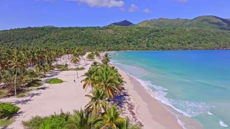 Vista-Panorámica-Lenta-De-La-Playa-De-Arena-Y-Palmeras-En-Un-Día-Soleado