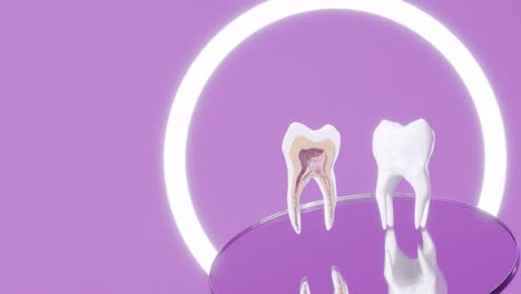 Molar-tooth-cross-section-dentist-studio-implants-diagnosis-mockup-rotate-above-dentist-mirror-3d-rendering-animation-prevention