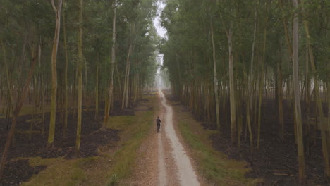 Toma-De-Drone-De-Un-Hombre-Local-En-Bicicleta-En-Un-Denso-Bosque-De-La-Región-De-Terai-En-Nepal