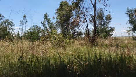 Time-lapse-of-deforestation-at-portion-9-Aston-Lake