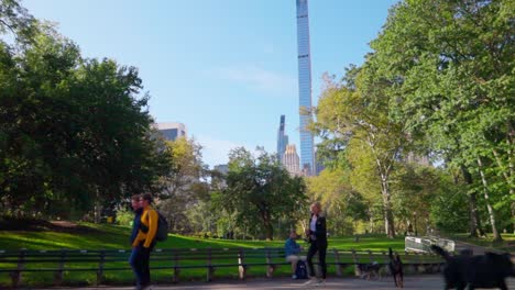 Dog-walkers-and-pedestrians-in-central-park-with-city-financial-district-backdrop