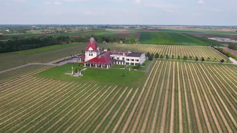 Aerial-View-of-Winery-Building-and-Vineyards-in-Idyllic-Countryside-Landscape-of-Palic,-Serbia