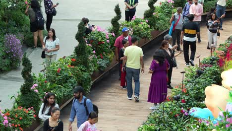 Large-crowds-of-people-visiting-the-landmark-attraction,-world-largest-glass-greenhouse-Flower-Dome-at-Gardens-by-the-bay-with-variety-of-flowers-and-plants-display-in-the-conservatory,-static-shot