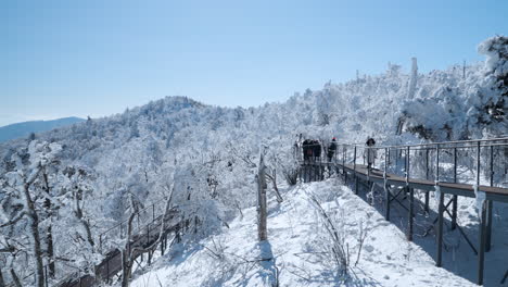 Touristen-Gehen-An-Einem-Sonnigen-Tag-In-Zeitlupe-Auf-Hölzernen-Gehwegen-Im-Schneebedeckten-Mona-Park-Spazieren