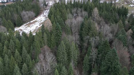 Fronalpstock-Schweiz-Glarus-Schweizer-Alpen-Flug-über-Wald-Neigt-Sich-Nach-Oben,-Um-Einen-Kleinen-Vorgeschmack-Auf-Kleines-Skidorf-Zu-Bekommen