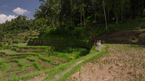 Pasos-De-Una-Joven-Trazando-Un-Camino-En-Medio-De-La-Exuberante-Terraza-De-Arroz-Verde