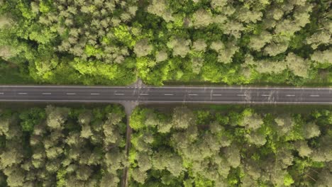 Aerial-vertical-ascending-shot-of-the-straight-asphalt-road-in-the-middle-of-the-forest-in-summer