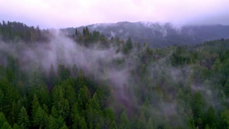Aerial-view-of-clouds-descending-over-coniferous-alpine-tree-forest