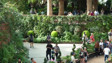 Tourists-and-locals-visiting-the-landmark-attraction,-world-largest-glass-greenhouse-Flower-Dome-at-Gardens-by-the-bay-with-variety-of-flowers-and-plants-display-in-the-conservatory,-static-shot