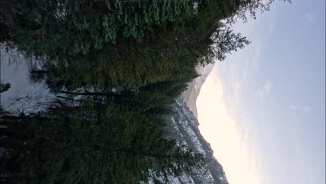 FPV-Drohnenflug-Durch-Kiefern-Im-Verschneiten-American-Fork-Canyon