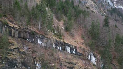 Klöntalersee-Schweiz-Glarus-Sanft-Ansteigender-Blick-Auf-Den-Wald,-Der-Am-Berghang-Wächst