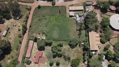 Telecommunications-mast-on-plantation-in-Loitokitok,-Kenya,-aerial-top-down