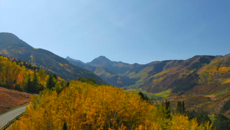 Yellow-Tree-forest-Colorado-summer-fall-autumn-colors-aerial-drone-cinematic-Aspen-Snowmass-Mountain-Maroon-Bells-Pyramid-Peak-beautiful-stunning-blue-sky-mid-day-sunny-reveal-upward-movement