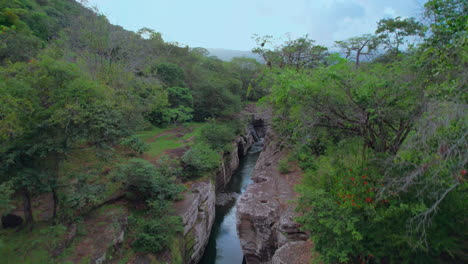 Lush-greenery-surrounding-the-narrow-Cajones-de-Chame-in-Panama,-reflecting-water