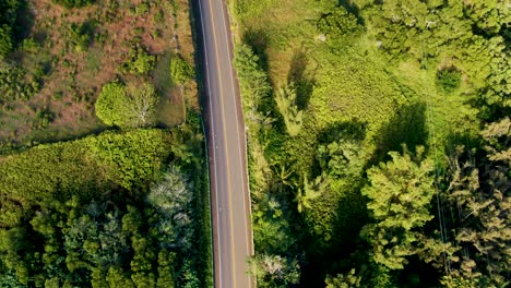 Aerial-topdown-view-of-Hana-Highway-toward-to-Twin-Falls-Maiu-Waterfall-parking,-Titl-up-shot