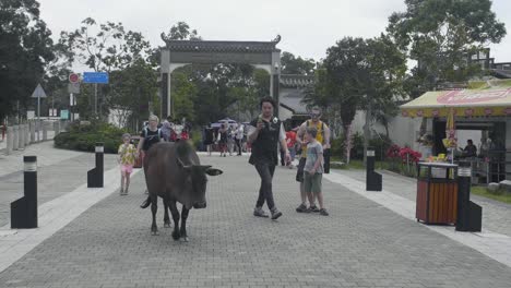 Plaza-Principal-De-La-Aldea-De-Ngong-Ping-Mientras-Turistas-Y-Visitantes-Toman-Fotografías-De-Una-Vaca-Sagrada-Durante-Un-Día-Nublado