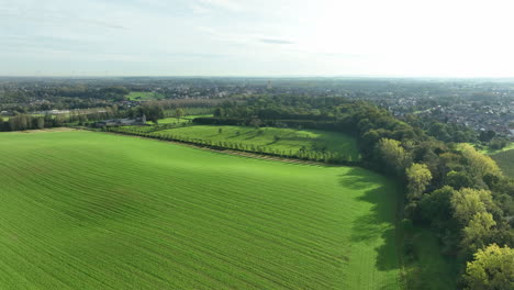 Luftaufnahmen-über-Der-Grünen-Wiese-In-Der-Region-Beukenberg-An-Einem-Sonnigen-Tag,-Tongeren,-Belgien