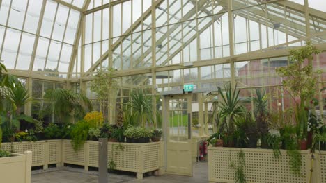 Bright-and-airy-greenhouse-interior-filled-with-lush-plants,-in-the-Botanic-Gardens-of-Dublin,-Ireland,-daytime