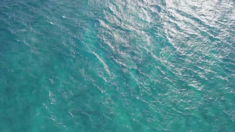 aqua-turquoise-water-with-the-sun-shining-down-into-the-crystal-clear-ocean-water-with-rippling-waves-on-the-oceans-surface-and-an-ocassional-white-cap