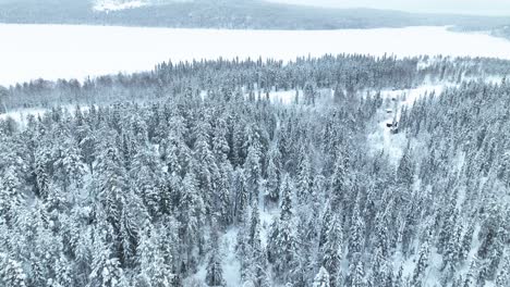 Panorama-Del-Bosque-Cubierto-De-Nieve-Y-El-Lago-Congelado-En-Invierno-En-Pyha,-Finlandia