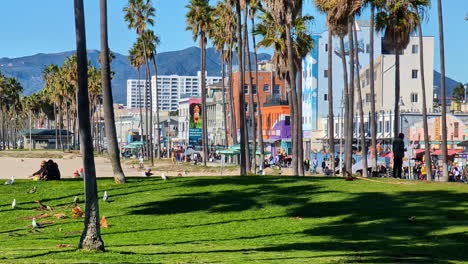 Vista-Diurna-De-Los-Visitantes-Del-Paseo-Marítimo-De-Venice-Beach-Con-Palmeras,-California