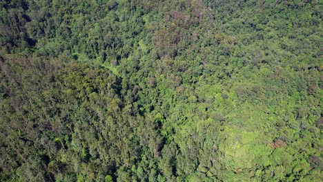 Vogelperspektive-über-Currumbin-Valley-Mit-üppigem-Regenwald-In-Queensland,-Australien-–-Drohnenaufnahme