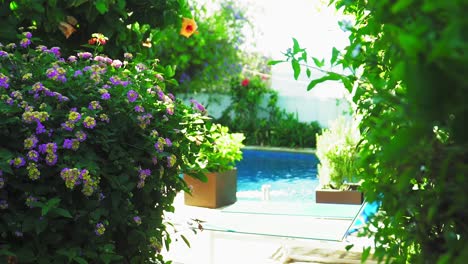 Pintoresco-Jardín-Botánico-Con-Piscina-Y-Coloridas-Flores,-Plantas-En-España