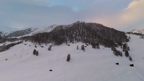 Stunning-Livigno-Alps-drone-video:-snow-peaks,-city-and-mountain-town,-ideal-for-high-quality-winter-and-tourism-ads