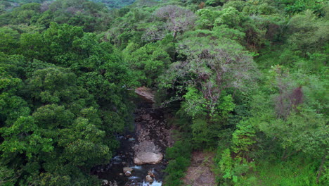 The-lush-cajones-de-chame-in-panama,-winding-stream-through-dense-greenery,-aerial-view