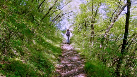 Woman-walking-on-the-hiking-trail-to-Peterköfele-chapel-surrounded-by-trees-on-a-sunny-day