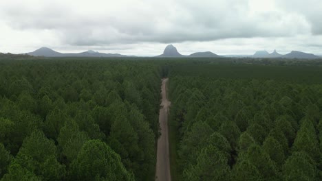 Eine-Fahrt-Auf-Einer-Alten-Unbefestigten-Straße-Durch-Eine-Waldplantage,-Die-Zu-Einer-Malerischen,-Geformten-Bergkette-Führt